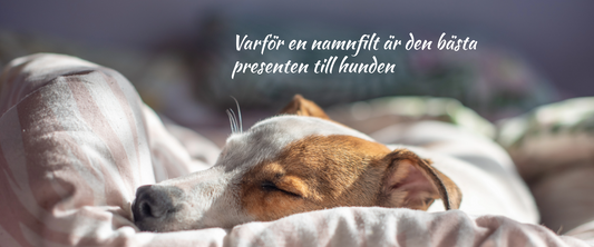Varför en namnfilt är den bästa presenten till hunden