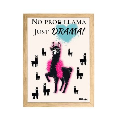 Poster - No Prob-llama