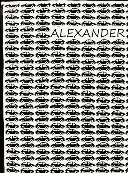 Newborn Namnfilt - Little Cars